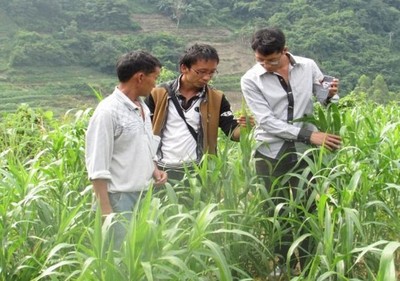 云南师宗普瑞生物意仁种植基地