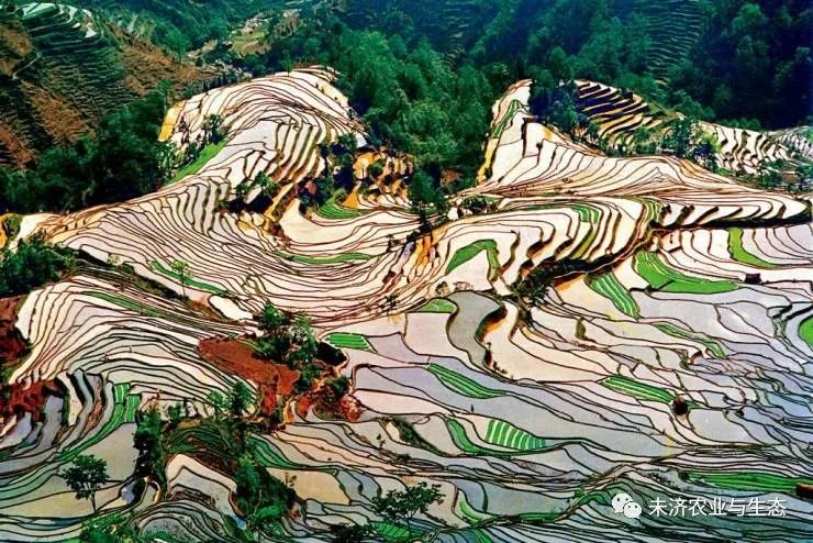 文章附图